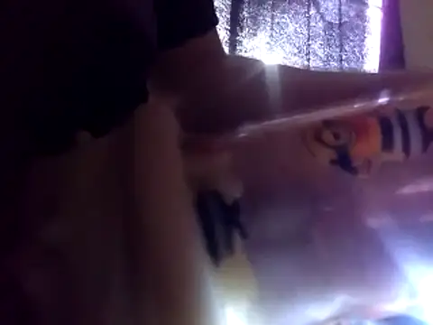 Snapshot of 6MataGarcia chatting on January 4, 10:34 pm 6MataGarcia online show from January 4, 10:34 pm