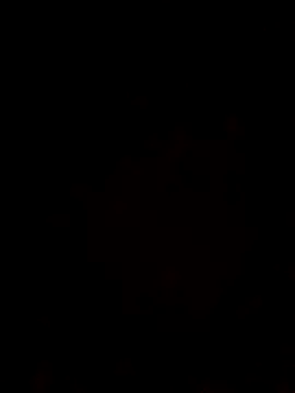 Snapshot of dojw chatting on October 19, 8:06 am dojw online show from October 19, 8:06 am