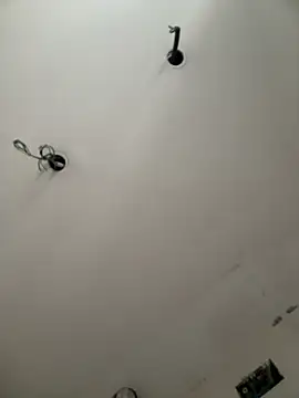 ExMonki 13  online show from November 5, 1:24 pm