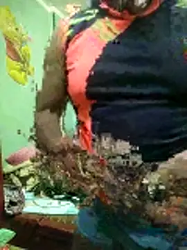 ShelfyOfferer online show from January 31, 11:14 pm