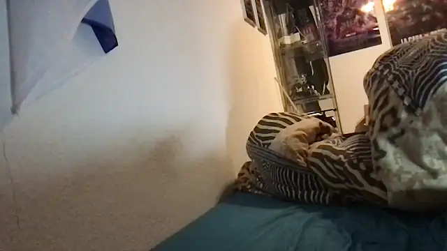 tipico0799 online show from January 26, 6:07 am