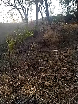 jellydicks online show from February 21, 2:01 am