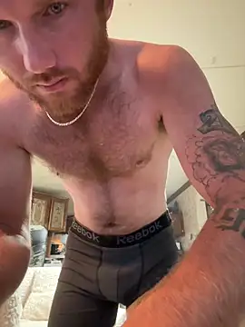 Snapshot of dcockell chatting on September 13, 11:39 pm dcockell online show from September 13, 11:39 pm