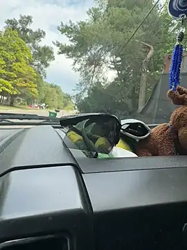 KBD85 online show from September 10, 7:45 pm