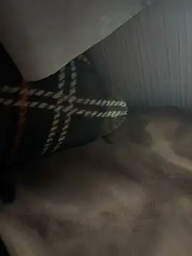 Snapshot of sakuto07 chatting on September 15, 2:07 pm sakuto07 online show from September 15, 2:07 pm