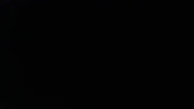        the online show from April 21, 6:58 pm