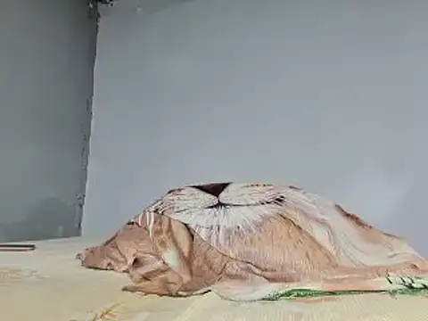 Snapshot of jeffblack2 chatting on February 1, 5:16 pm jeffblack2 online show from February 1, 5:16 pm