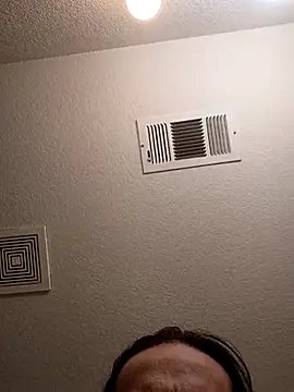 StellerCock online show from November 8, 10:40 am