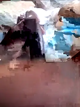 Lexwelll online show from March 13, 2:46 pm