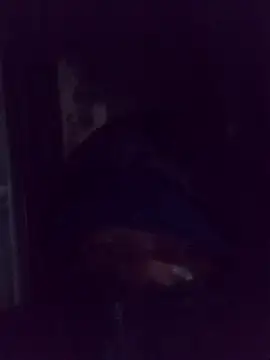 AquaticPlosion online show from March 2, 1:38 am