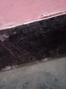 ScopalOr online show from February 3, 7:40 am