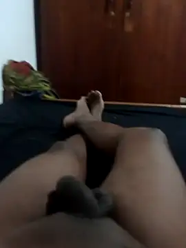 Sl python online show from December 13, 5:10 pm