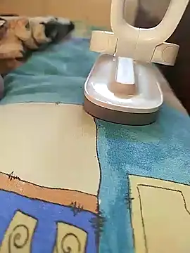 sanek1995sexx online show from January 2, 12:24 pm