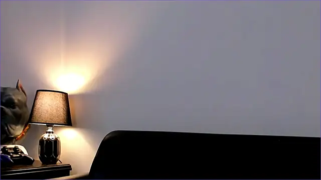 Snapshot of BradLeon_ chatting on September 22, 8:08 pm BradLeon  online show from September 22, 8:08 pm