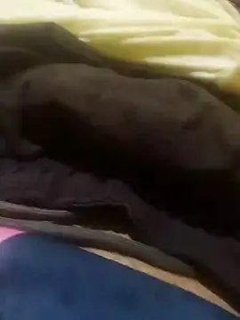 Snapshot of jarmesr7x chatting on January 27, 2:42 am jarmesr7x online show from January 27, 2:42 am