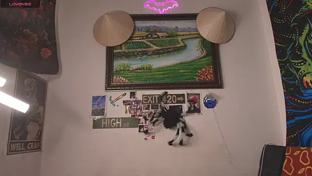 devil fts online show from November 8, 9:34 am