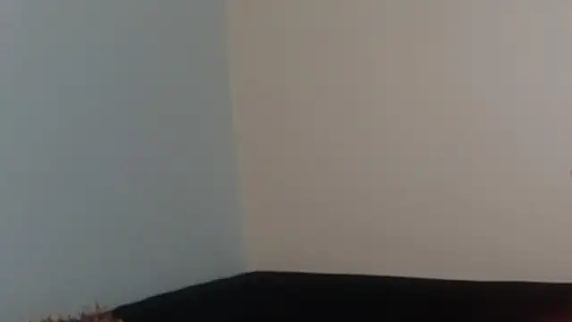 hairyncuteass online show from February 13, 8:24 pm