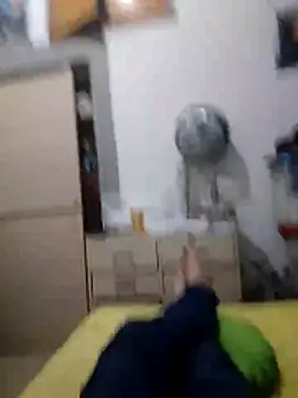 alejo5288 online show from February 26, 4:25 am