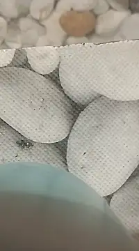 Playboy bhabhi 00 online show from February 25, 8:14 am