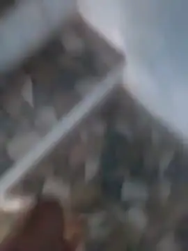 Playboy bhabhi 00 online show from March 18, 11:22 am