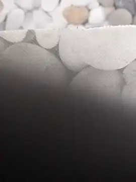 Playboy bhabhi 00 online show from March 8, 7:13 am