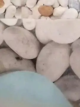 Playboy bhabhi 00 online show from February 27, 5:45 am