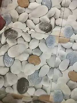 Playboy bhabhi 00 online show from February 8, 7:26 am