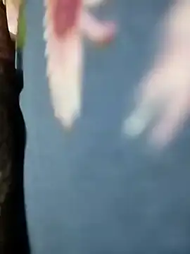 Playboy bhabhi 00 online show from February 12, 4:23 am