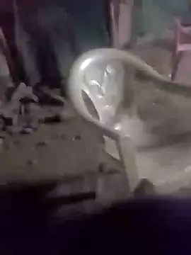 Playboy bhabhi 00 online show from February 13, 3:03 pm