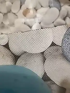 Playboy bhabhi 00 online show from February 14, 8:42 am