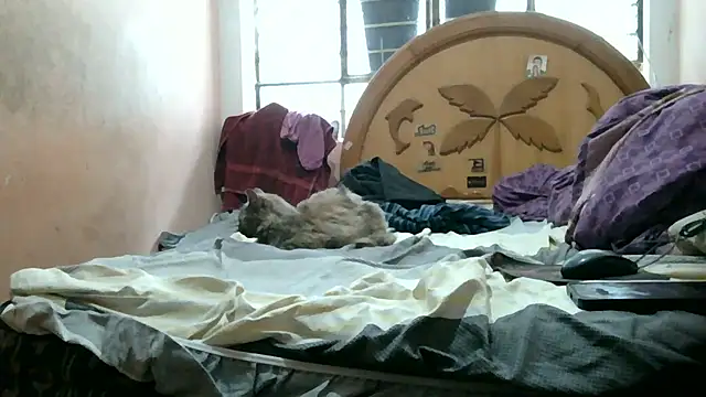 nakedlima online show from September 14, 7:05 pm