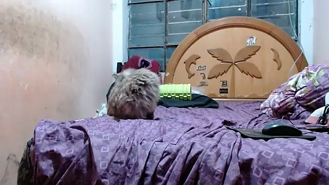 nakedlima online show from November 14, 3:31 am