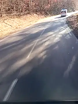 Dam70 online show from January 19, 11:12 am