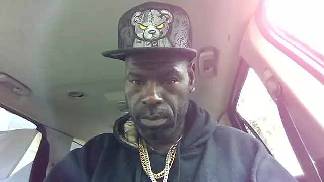 birdg online show from October 12, 2:33 pm