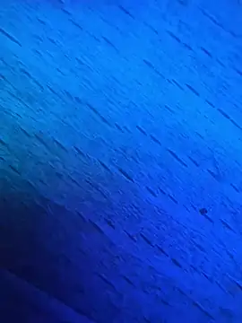 GmG2029 online show from March 1, 6:54 pm