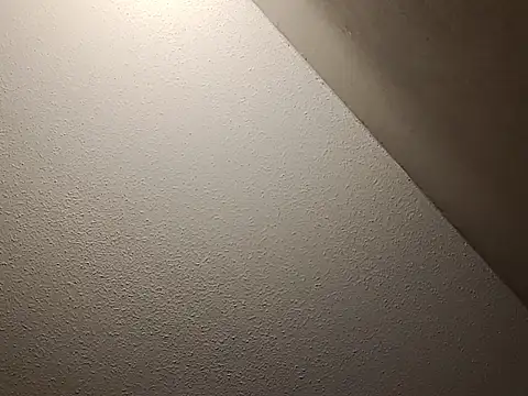 taterae online show from November 23, 12:05 pm