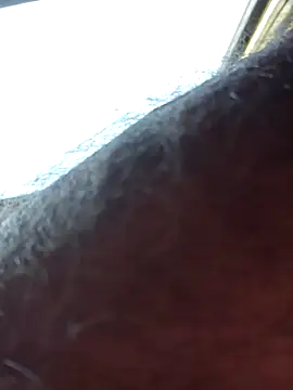 chris8827 online show from March 13, 11:16 pm