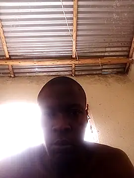 lilpip online show from April 6, 5:41 am