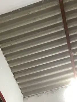 Babyalienqm online show from February 23, 12:12 am