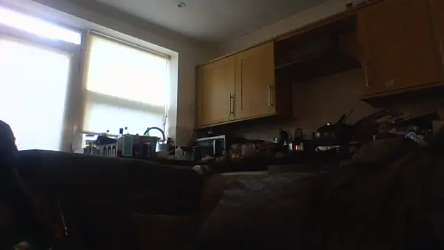 Grower and shower online show from November 17, 11:46 am