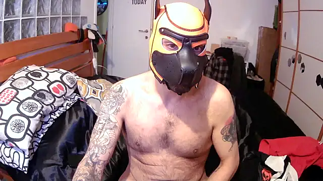 danix wild wolf online show from December 17, 1:29 pm