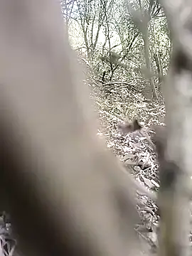 CertifiedSatisfier online show from November 12, 10:43 am