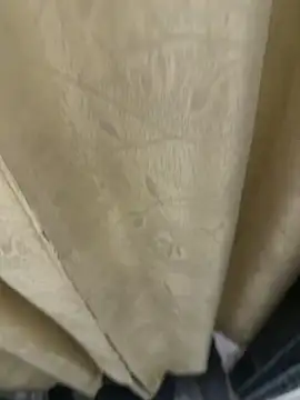 dilu98 online show from February 15, 1:45 am