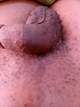 horny1131 online show from April 11, 7:45 am