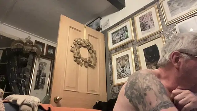 poggles online show from March 17, 8:11 pm