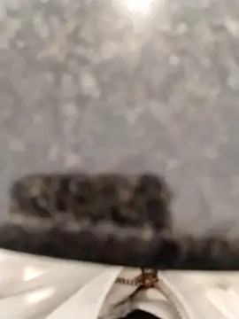 LeoMaduroSP online show from September 17, 2:07 pm