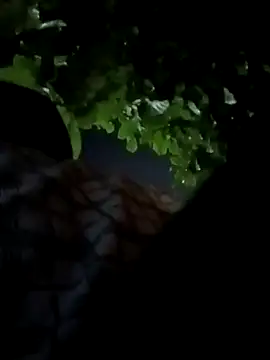 Rajopensex 955 online show from March 21, 6:23 pm