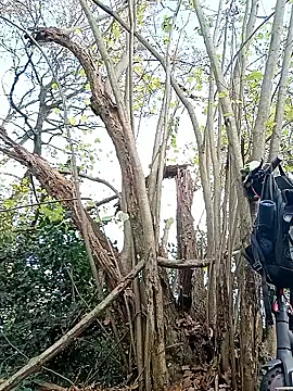 Wilsonn86 online show from November 12, 9:26 am