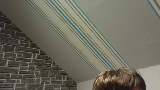 vers92 seb online show from November 15, 9:17 pm