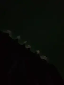 Snapshot of PIROCAGG21 chatting on September 11, 11:20 am PIROCAGG21 online show from September 11, 11:20 am